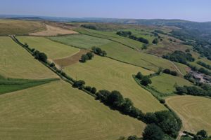 Photo 43- click for photo gallery